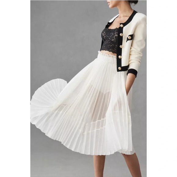 Let Me Be (Anthropologie) Sheer Pleated A-Line Skirt, NWT - Picture 5 of 10